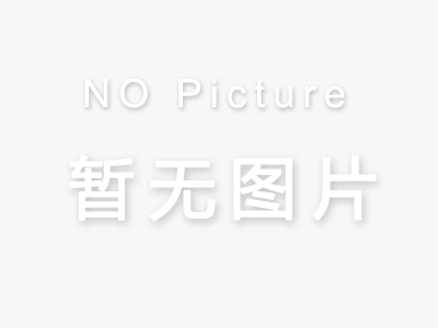 云斯顿(俄罗斯含税版)