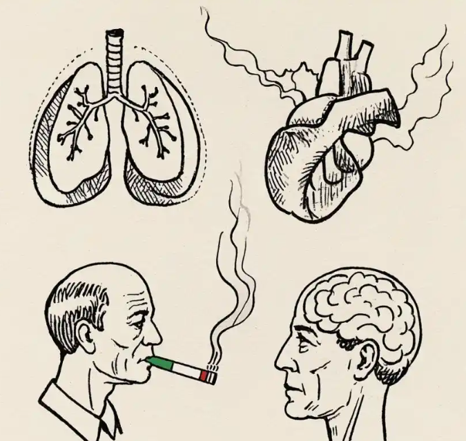 难的不是焦油低，而是价值高